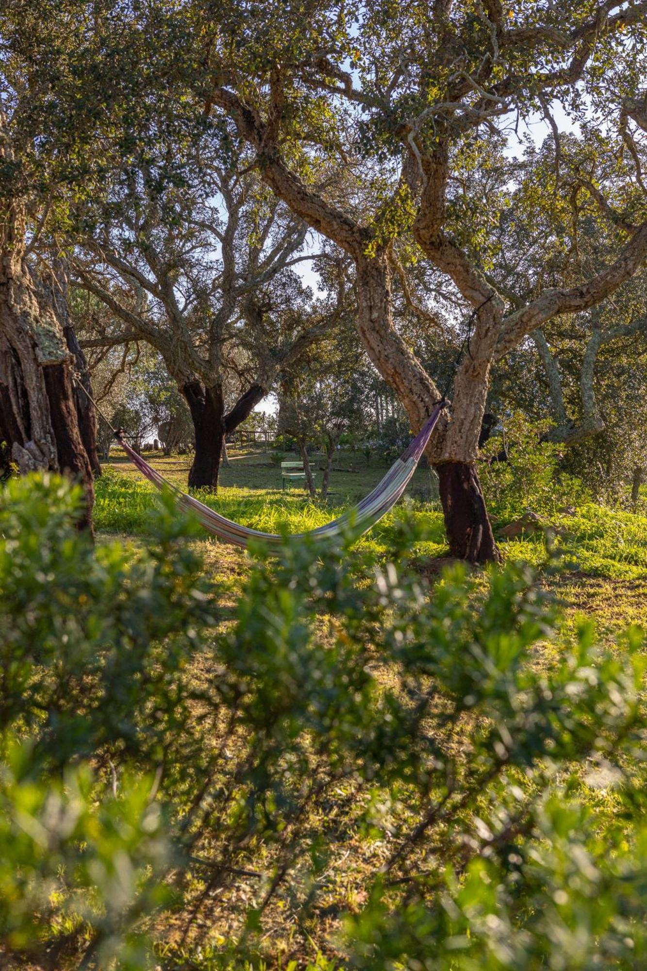 Vila Casavadia Melides Exteriér fotografie